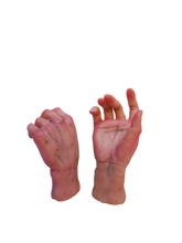 Load image into Gallery viewer, SCULPTING STUDIES - Hands - Feet - Bodies
