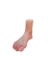 Load image into Gallery viewer, SCULPTING STUDIES - Hands - Feet - Bodies
